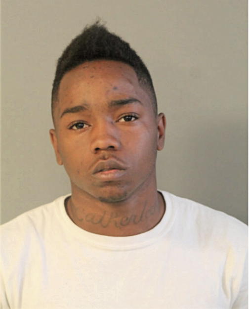 DONTRELL L LOGAN, Cook County, Illinois