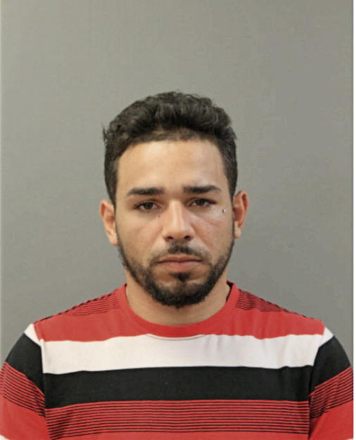 GREGORIO V LOZADA, Cook County, Illinois