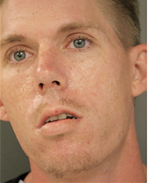 RONALD R MCKEE, Cook County, Illinois