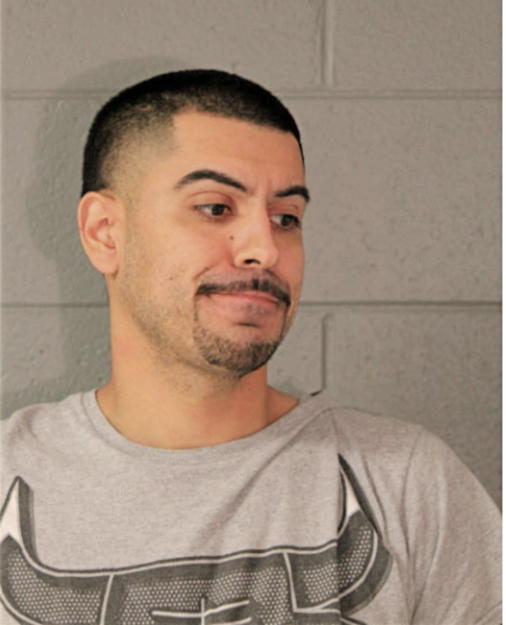 GADIEL MOLINA, Cook County, Illinois