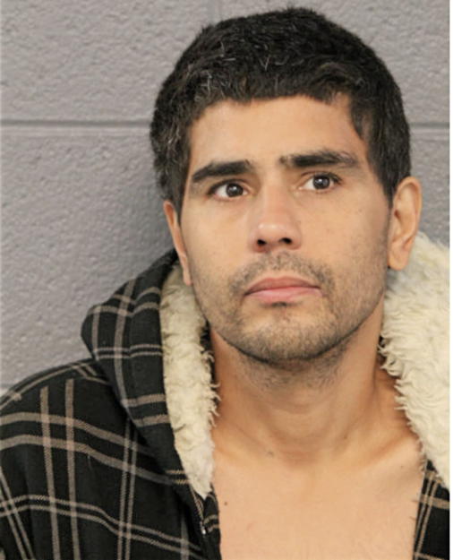 REYNALDO L MORALES, Cook County, Illinois