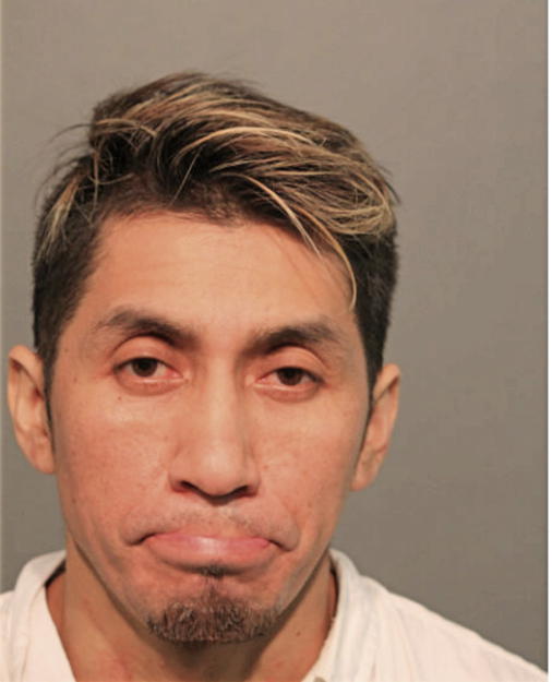 LUIS A PEREZ, Cook County, Illinois