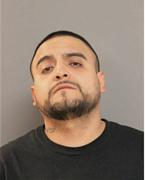 ANGELO PINA, Cook County, Illinois