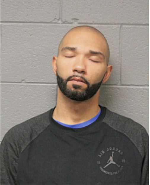 BRYAN R RIDDLE, Cook County, Illinois