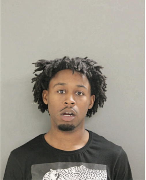 DARIN R ROBERTS, Cook County, Illinois