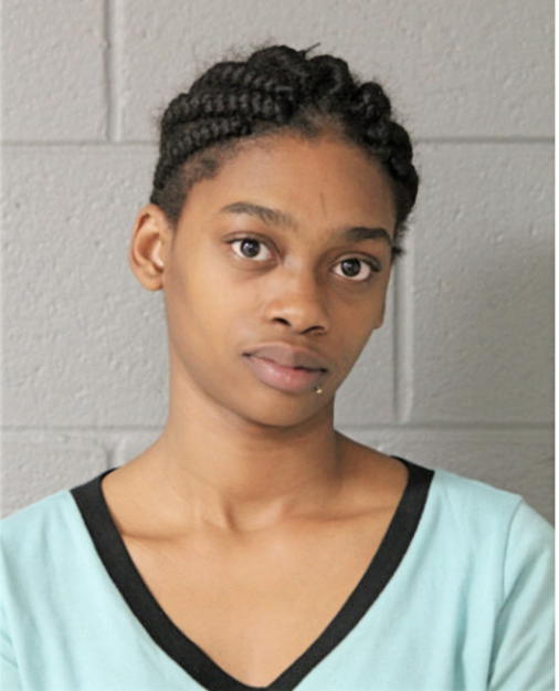 LANOISE D TURMAN, Cook County, Illinois