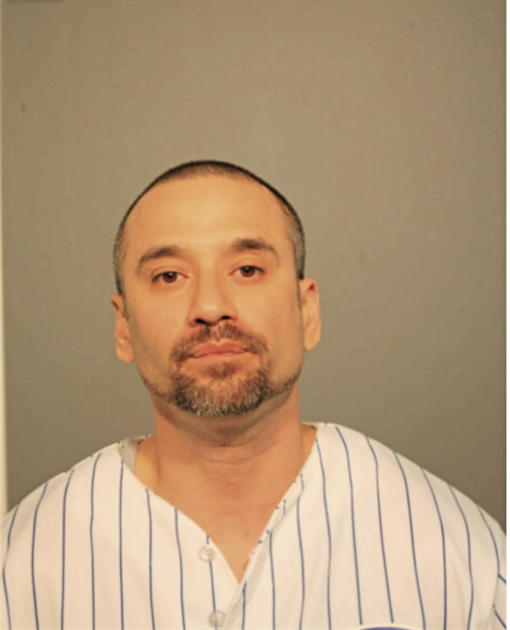 MICHAEL P VEGA, Cook County, Illinois