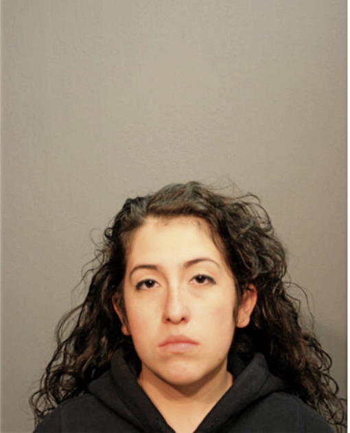 YANIRA VILLAVICENIO, Cook County, Illinois
