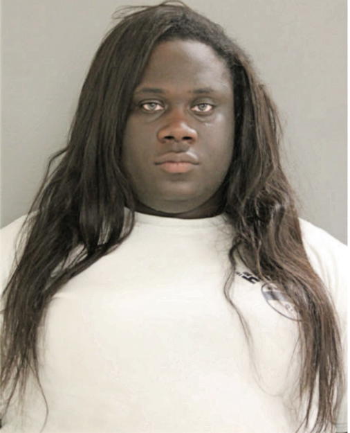 MEGHAN L WILLIAMS, Cook County, Illinois