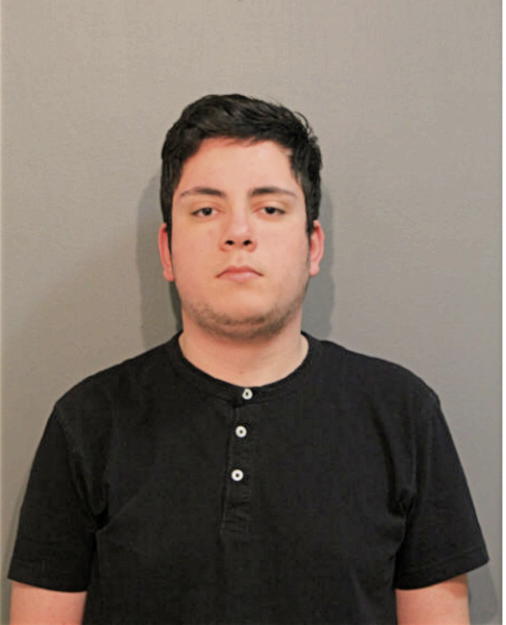 CHRISTIAN R WILSON, Cook County, Illinois