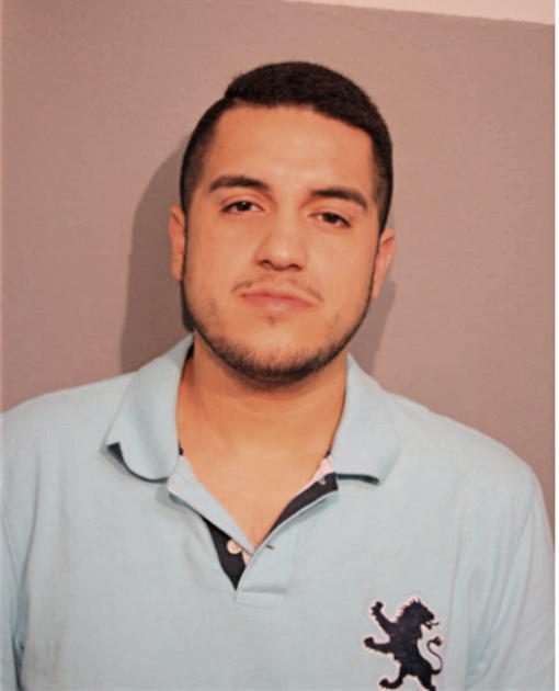 MICHAEL R ALVARADO, Cook County, Illinois