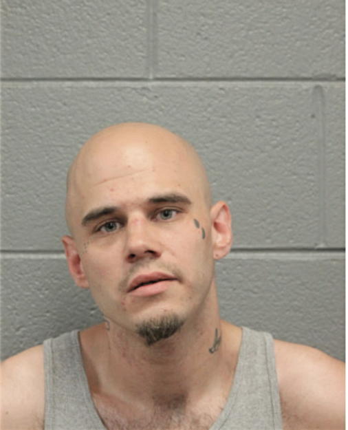 DANIEL B ANDREWS, Cook County, Illinois