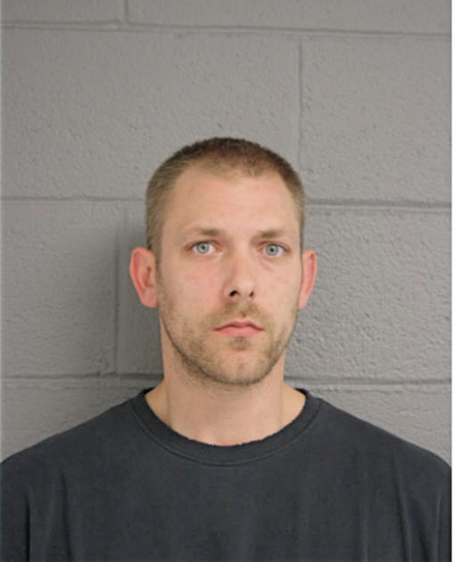 TIMOTHY S ANDRLIK, Cook County, Illinois
