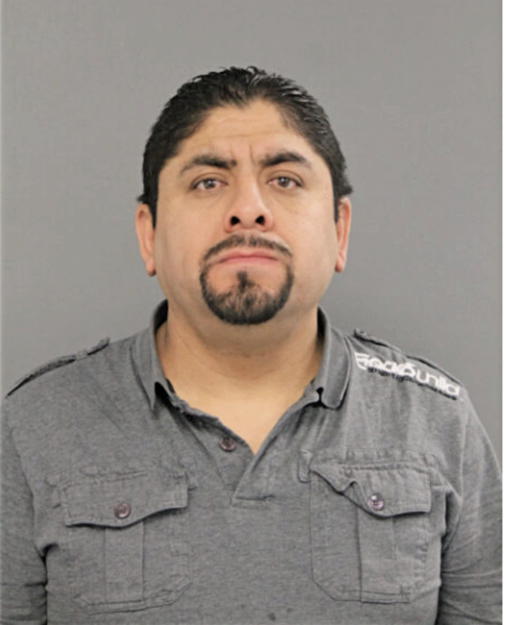 SILVESTRE MENDOZA ARZATE, Cook County, Illinois