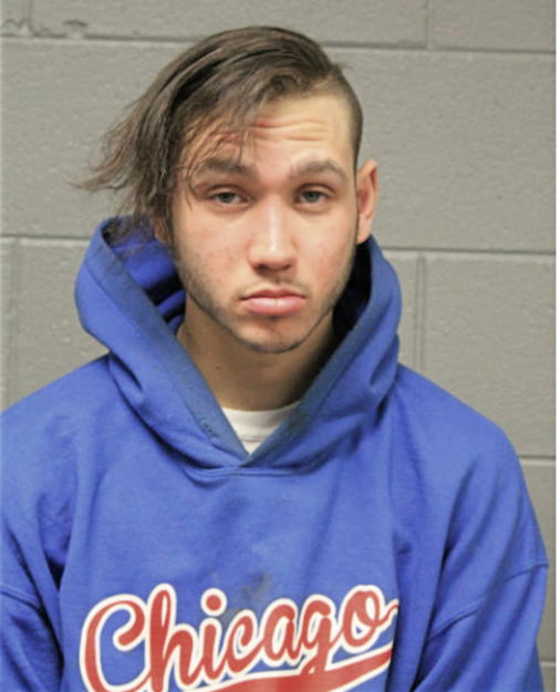 DANIEL J BOL, Cook County, Illinois