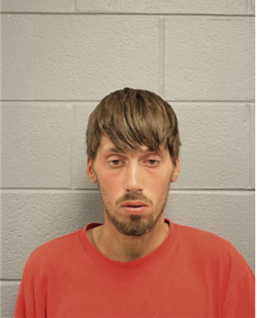 ZACHARY A D AMICO, Cook County, Illinois