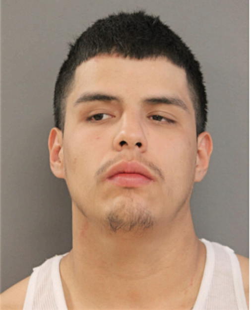 IVAN A DAVILA, Cook County, Illinois