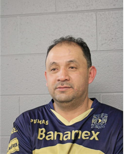LUIS E DIAZ, Cook County, Illinois