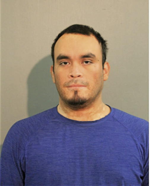 RENE DOMINGUEZ-GARCIA, Cook County, Illinois