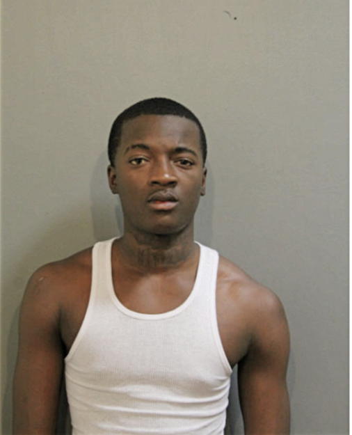DAVON L FOGGEY, Cook County, Illinois