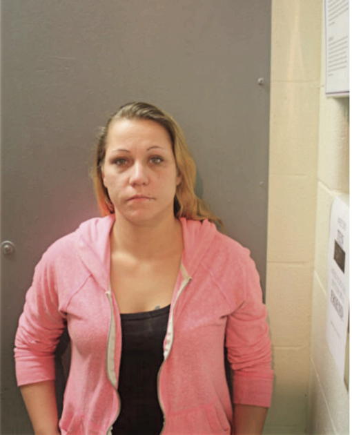 MINDY L FONTANYI, Cook County, Illinois