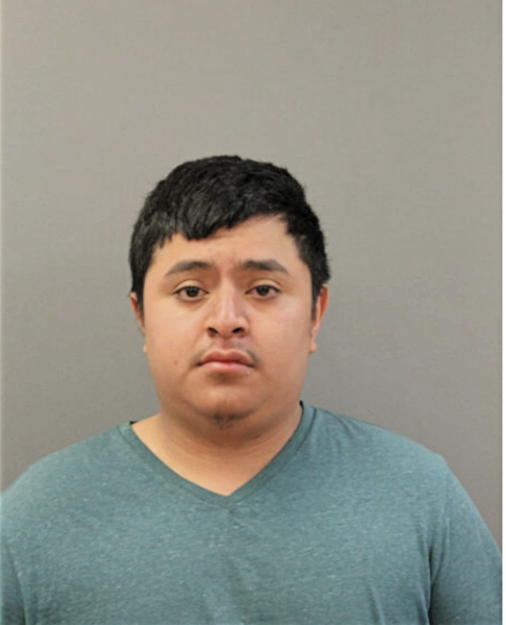 GUSTAVO GALEANA, Cook County, Illinois