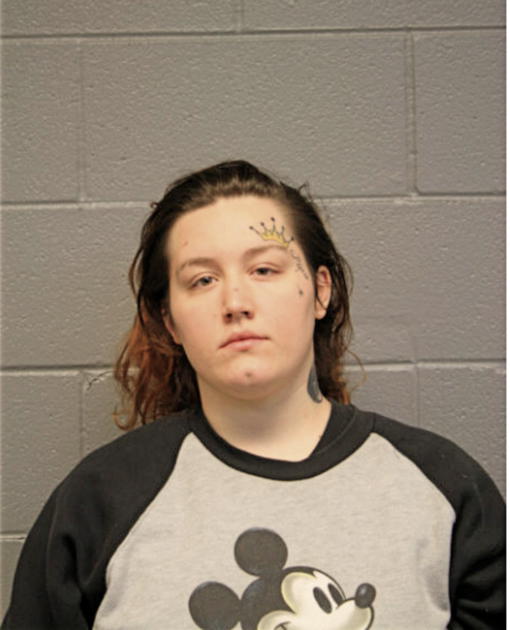 NICOLE K HIGGINS, Cook County, Illinois