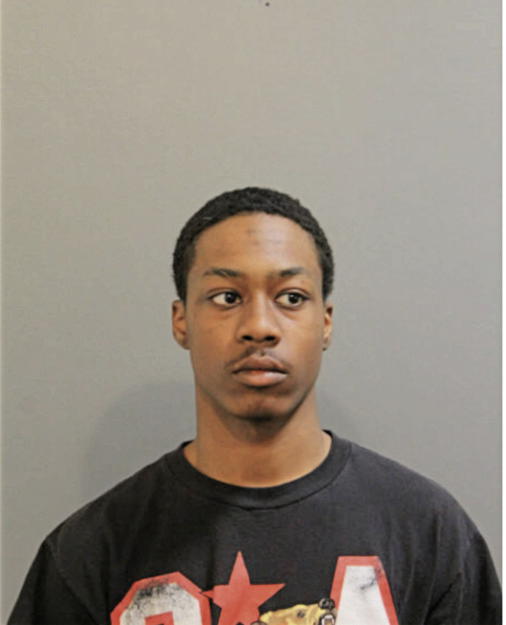 DAVID A HUNT, Cook County, Illinois