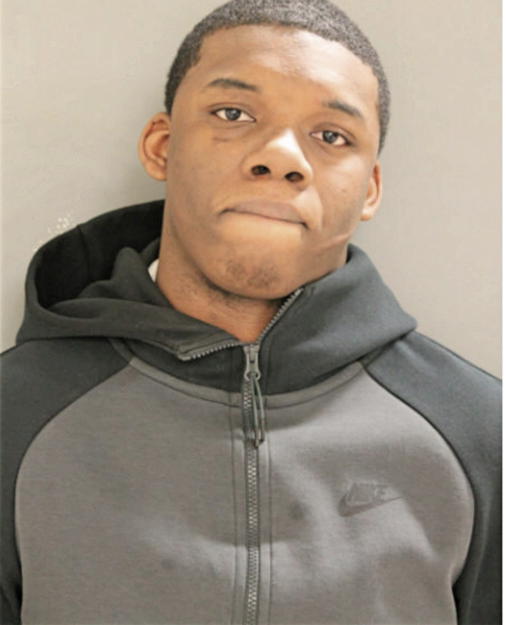 ROBERT L JOHNSON, Cook County, Illinois