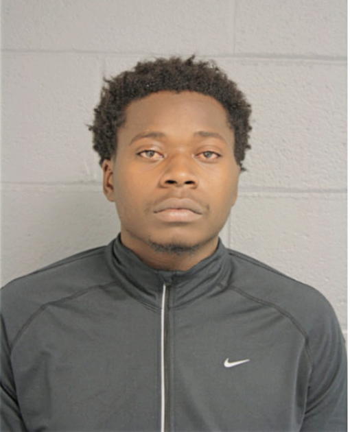 TERRANCE C JOHNSON, Cook County, Illinois