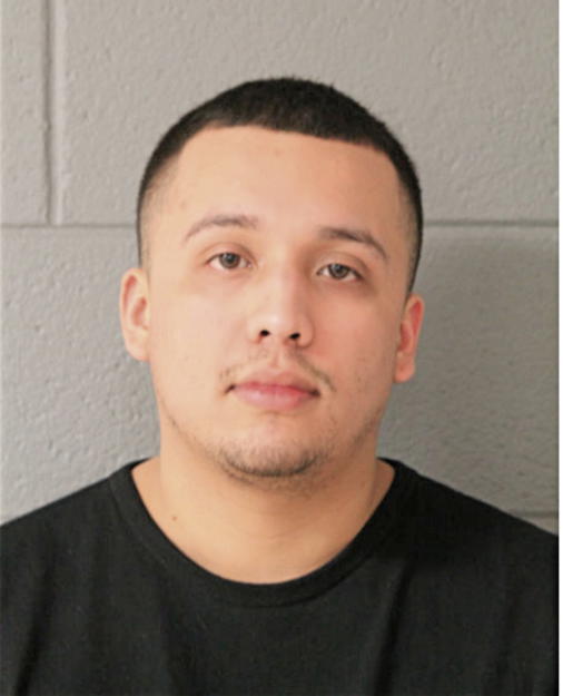 JAIME REYES JR, Cook County, Illinois