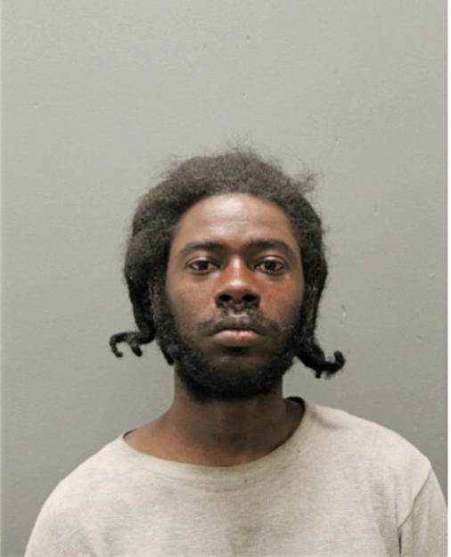 CHRISTOPHER T LITTLE, Cook County, Illinois