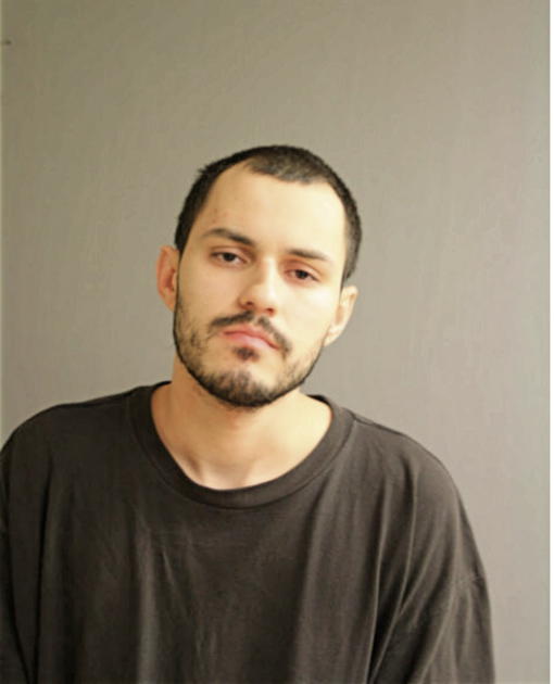 ALEXANDER LUNA, Cook County, Illinois