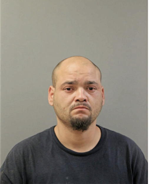 LOUIS F MARTINEZ-VELEZ, Cook County, Illinois