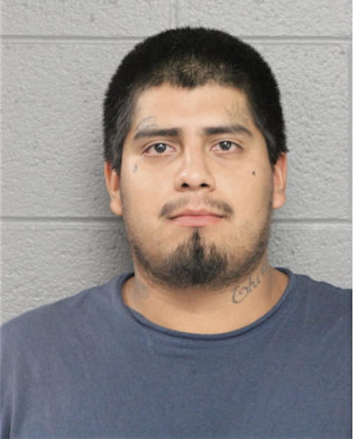 DOMINGO MENDOZA, Cook County, Illinois