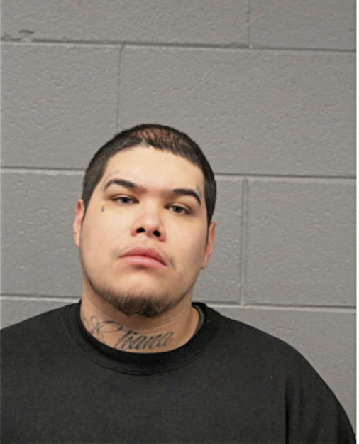 LUIS C MOLINA, Cook County, Illinois