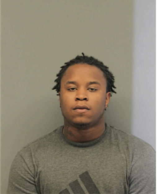 ALPACHINO L OLIVER, Cook County, Illinois