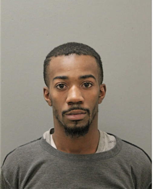 CHRISTOPHER A PIERCE, Cook County, Illinois