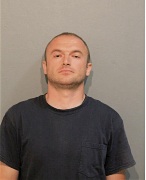 MIROSLAVO PLJEVALJCIC, Cook County, Illinois