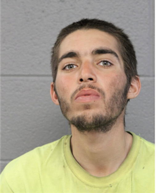 LUIS A RIVERA, Cook County, Illinois
