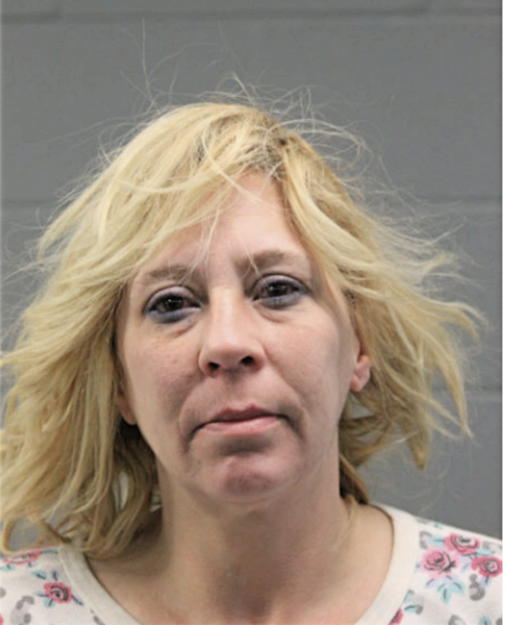 CHERI L SAGIL, Cook County, Illinois