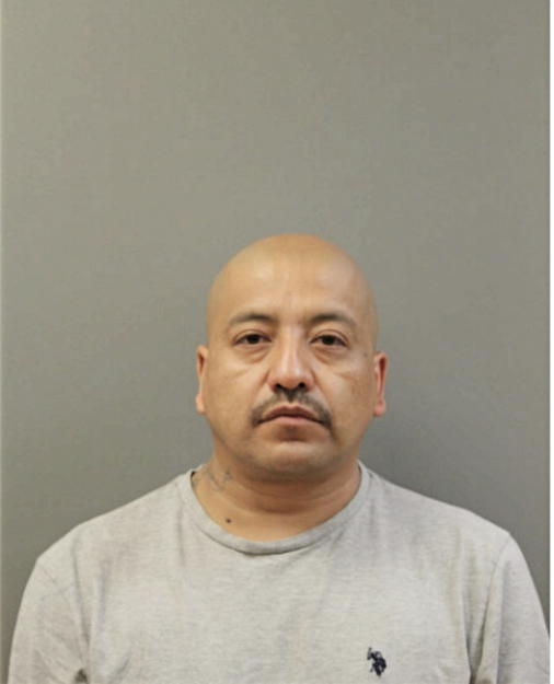 JOSE A SALGADO, Cook County, Illinois