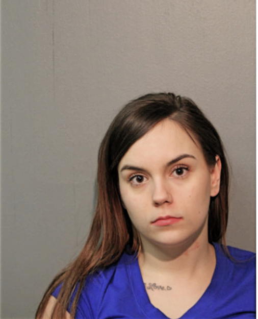 ALYSSA M SANCHEZ, Cook County, Illinois