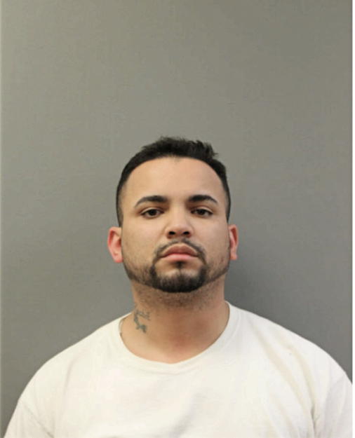 ROGER L SANCHEZ, Cook County, Illinois