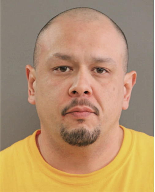 NATHAN T SKENANDORE, Cook County, Illinois