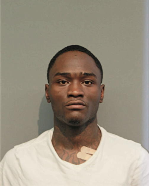 ORLANDO L STEWART, Cook County, Illinois