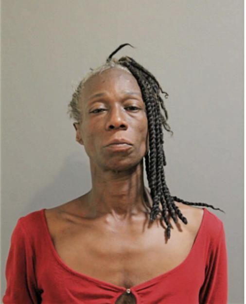 MICHELLE J WHITE, Cook County, Illinois