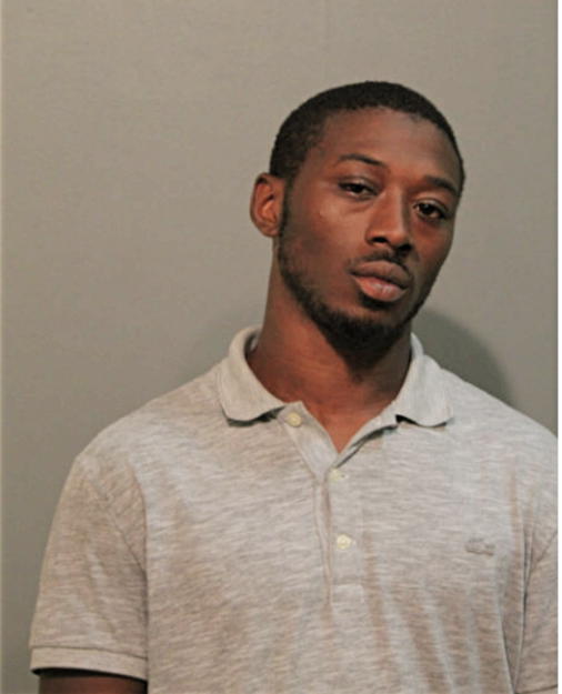 ERIC L WILSON, Cook County, Illinois