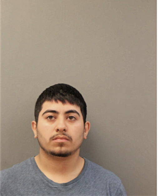 LUIS F ALMANZA CAVILLO, Cook County, Illinois