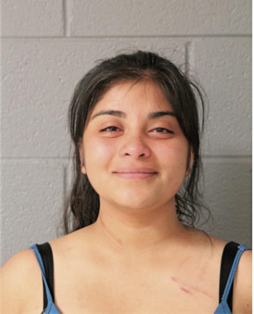 AMANDA M ARMENDARIZ, Cook County, Illinois